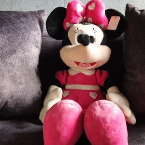 Minnie Teddy